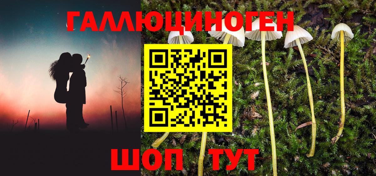 Псилоцибиновые грибы Cubensis  Вход с VPN  Старая Купавна 
